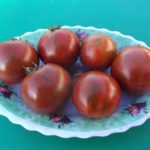 Гномы на помидорной грядке