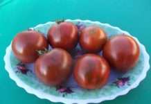 Гномы на помидорной грядке