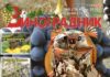 Хрущ над "Виноградником"