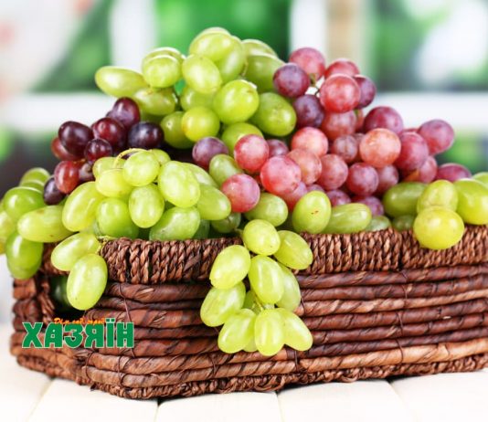Разные сорта винограда в плетеной корзине