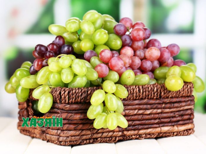 Разные сорта винограда в плетеной корзине