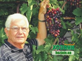 Ю. В. Попович, виноградарь-любитель, г. Николаев