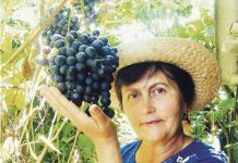 Жена Татьяна с гроздью винограда Блубел весом 550 г.
