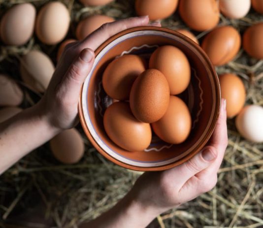 360 яиц за год - столько дают куры гибрида Декалб