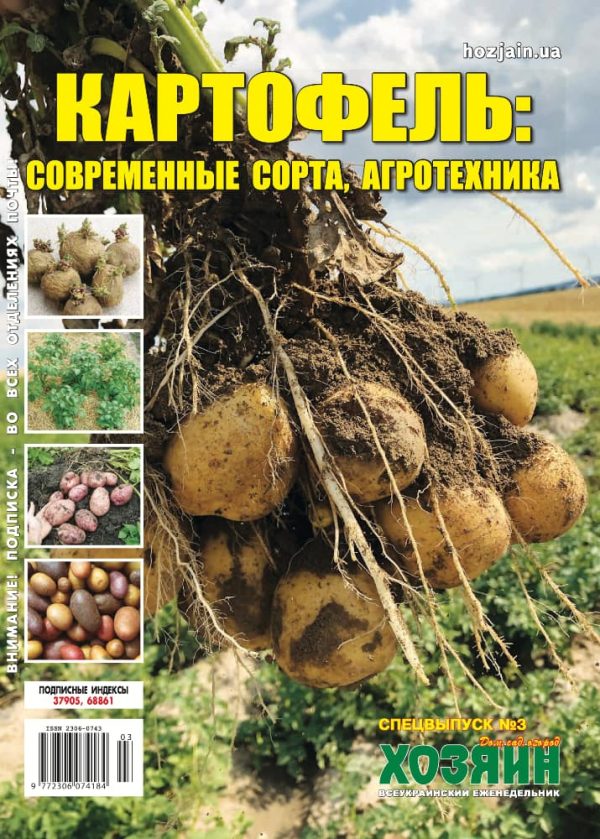 Картофель: современные сорта, агротехника