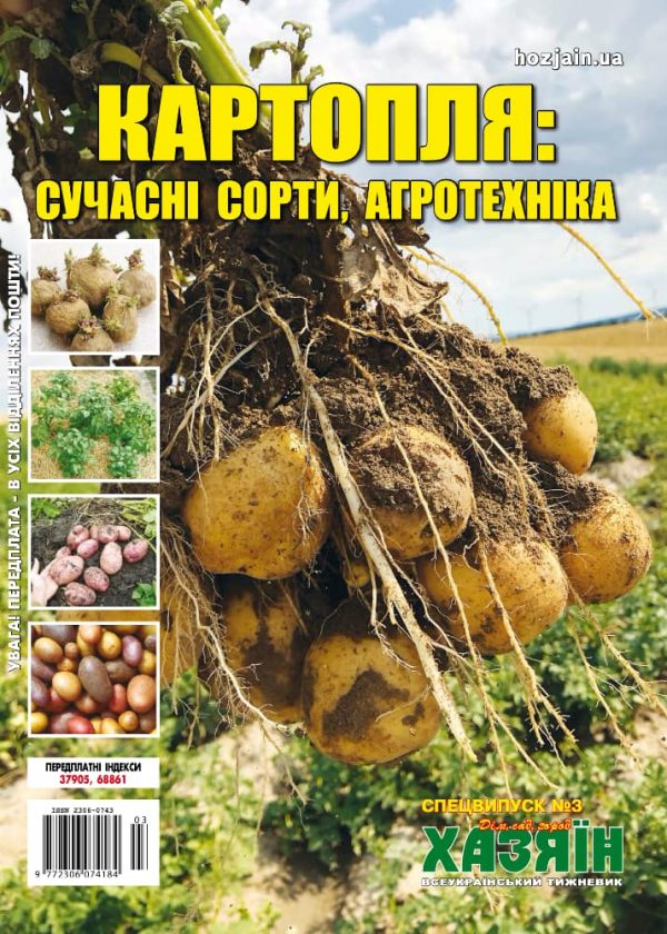 Картопля: сучасні сорти, агротехніка