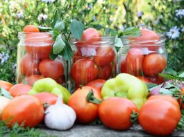 Соління помідорів на всі смаки за кращими рецептами