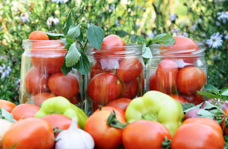 Соління помідорів на всі смаки за кращими рецептами