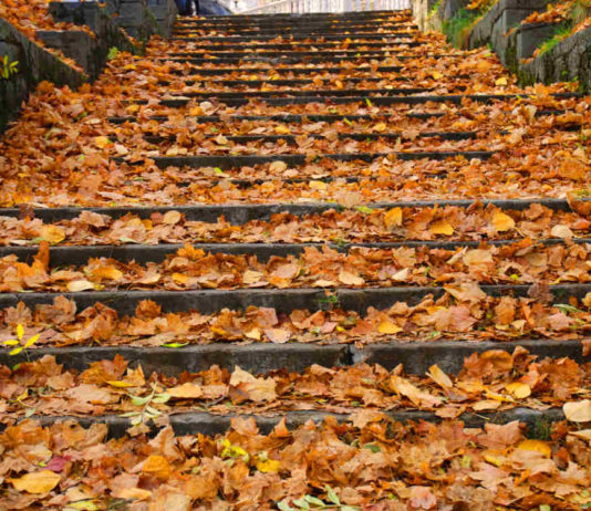 Лестница в осень