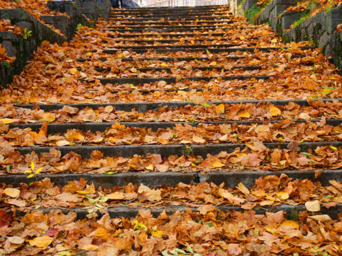 Лестница в осень