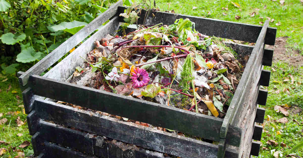 Садовый компостер из пластика — плюсы и минусы