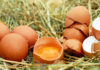 Загадочные цифры на куриных яйцах