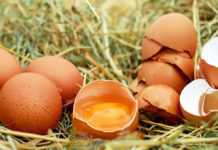Загадочные цифры на куриных яйцах